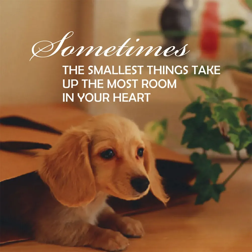 Pup Notes - 60 Notes of Dog Love & Joy
